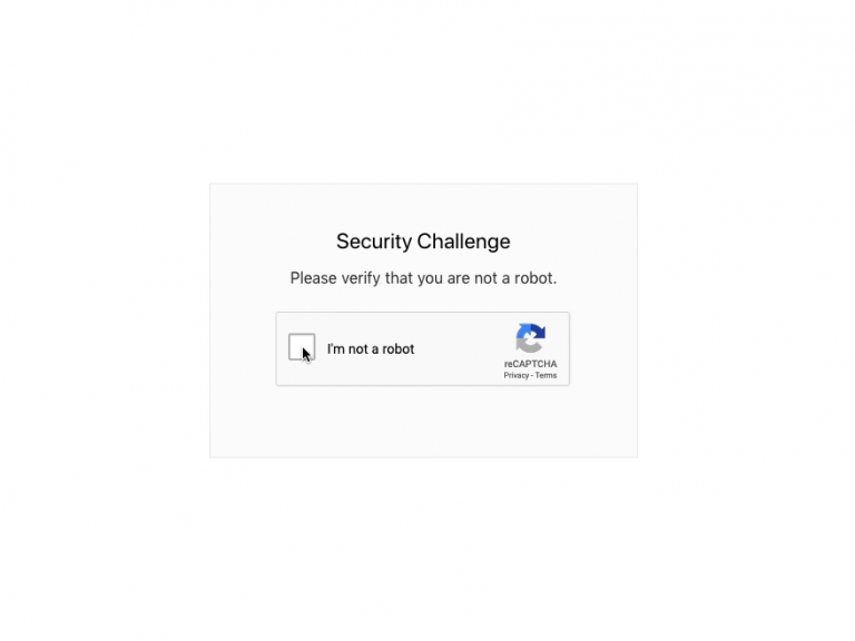 google recaptcha bypass