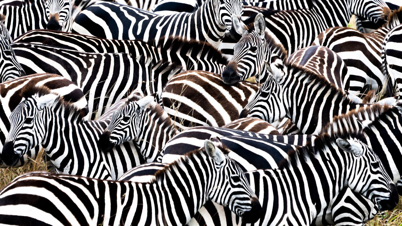 Why-Adaptive-Trust-is-a-huge-advance-in-anomaly-detection