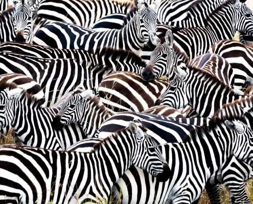 Why Adaptive Trust is a huge advance in anomaly detection